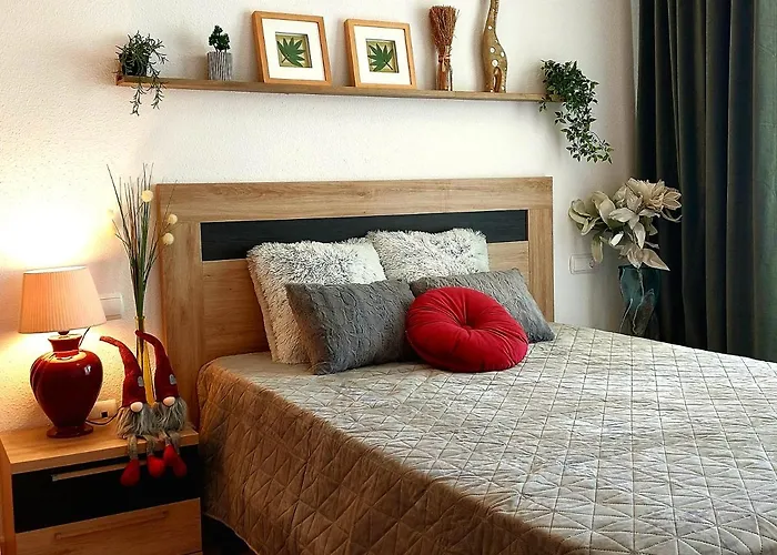 Sunny Torremar * 托雷维耶哈