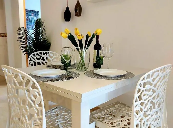 Sunny Torremar 托雷维耶哈